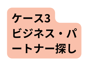 ケース3 ビジネス パートナー探し