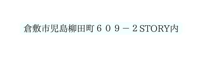 倉敷市児島柳田町６０９ ２STORY内